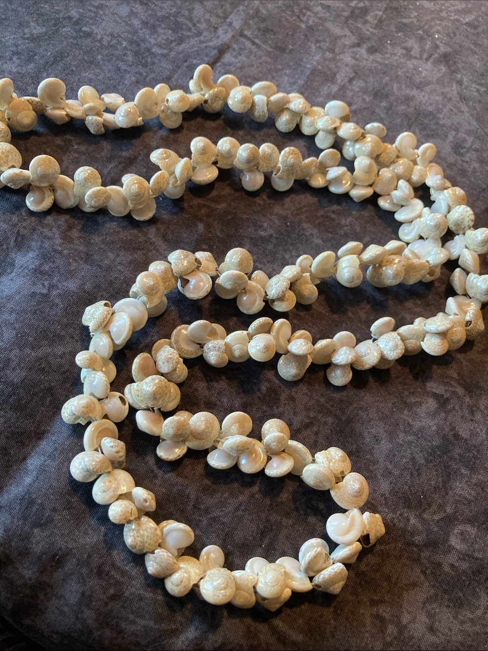 Natural Shell Bead Necklace - Cream White
